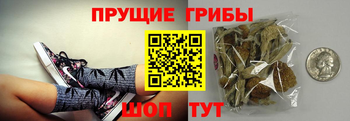Галлюциногенные грибы Magic Shrooms  Вход с VPN  Владимир 