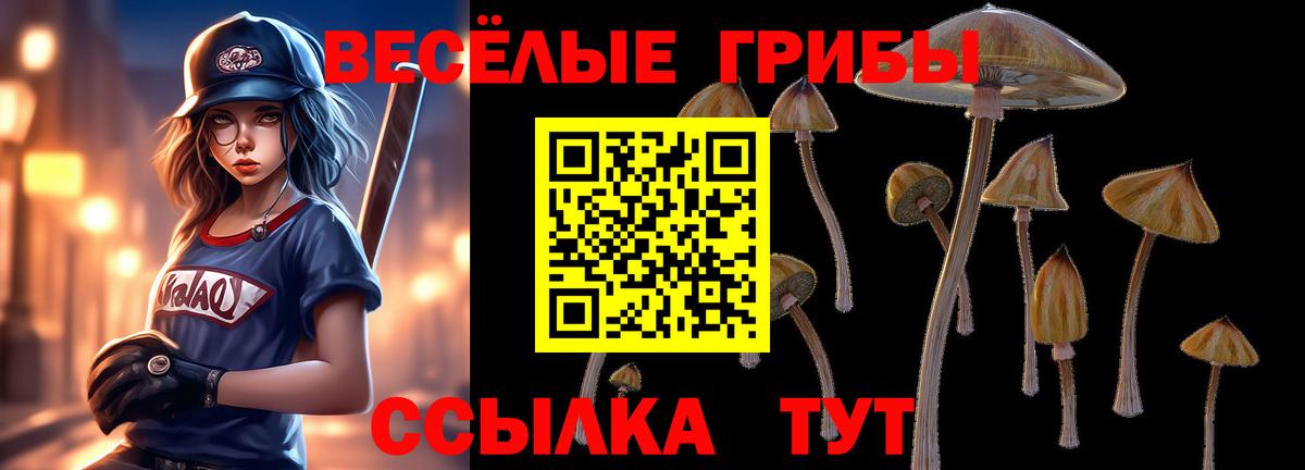 Галлюциногенные грибы прущие грибы Владимир